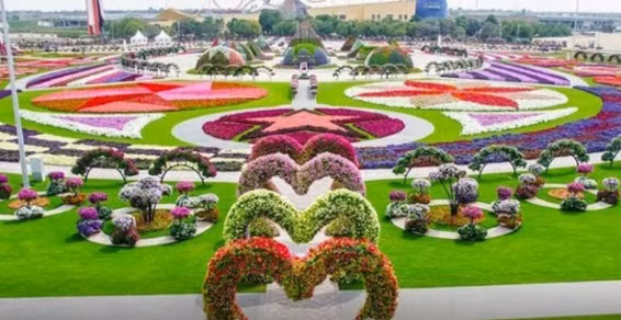 Những khung hình khổng lồ mang đến cảm giác như khu triển lãm nghệ thuật.