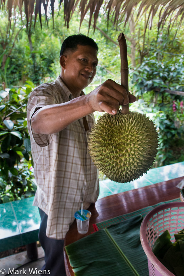 Maliwan Han Chai Thai, người điều hành trang trại Pa Toi Lung Mu, cho biết: "Sầu riêng Kanyao đắt đỏ vì độ quý hiếm, hình dáng, màu sắc và hương vị khác biệt. Nhiều du khách tới đây đề nghị mua, nhưng chúng tôi vẫn để trên cây để chín tự nhiên hoàn toàn". Ảnh: Migrationology.