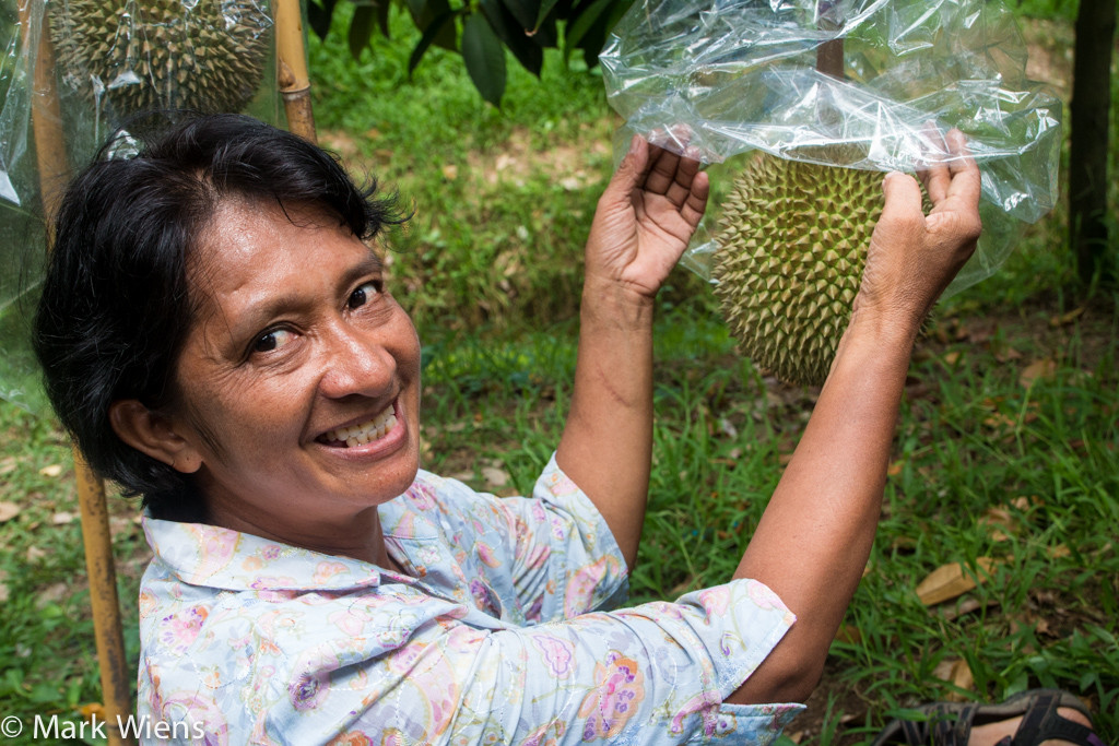 Những trái sầu riêng Kanyao chất lượng tốt thường được đặt mua trước khi đến vụ thu hoạch. Ảnh: Migrationology.
