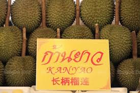 Giống sầu riêng kanyao được coi là loại tốt nhất thế giới hiện nay, với hương vị hoàn hảo mà hiếm nơi nào có được. Ảnh: Bangkok Post.