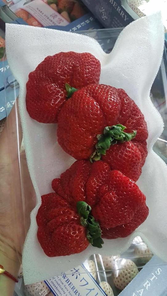 Hoa quả nhập khẩu cũng trở thành quà Tết sang trọng được giới nhà giàu ưa chuộng. Dâu tây hình quạt có giá từ 900.000 - 1 triệu đồng/hộp 600g. Ảnh: Oanhtraicay.