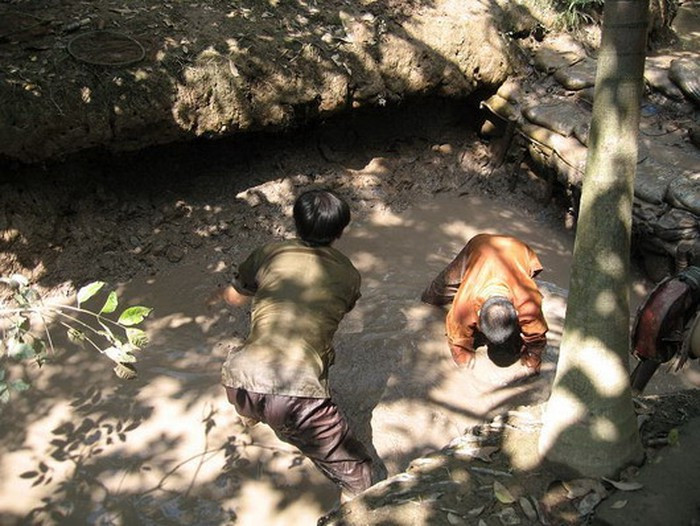 Cá đồng nhiều nhất là cá lóc, rô, sặc, thác lác...Ảnh: Bienvanguoi.