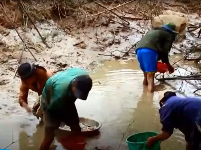 Mỗi ao, người dân có thể bắt được hàng chục kg cá. Ảnh: Youtube.