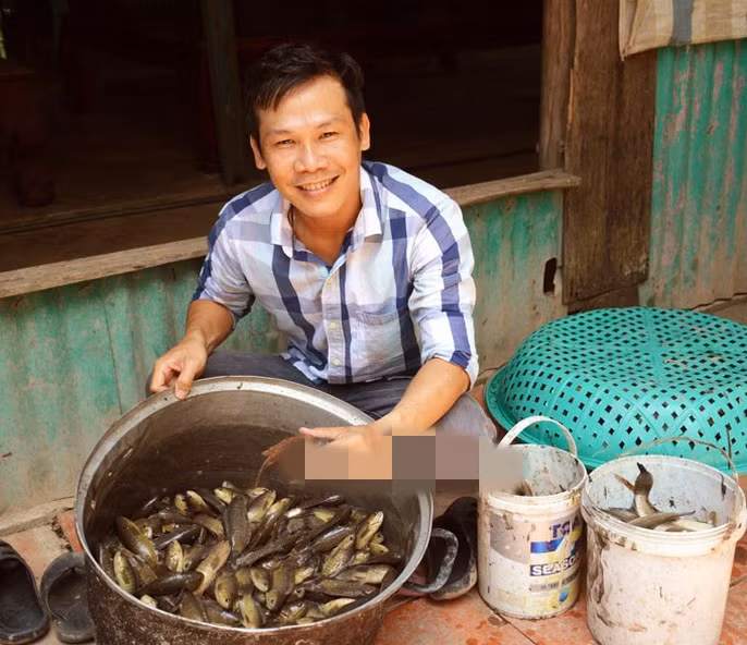 Trong khi đó, cá rô, thác lác khoảng 60.000-80.000 đồng/kg. Ảnh: Dân Việt.