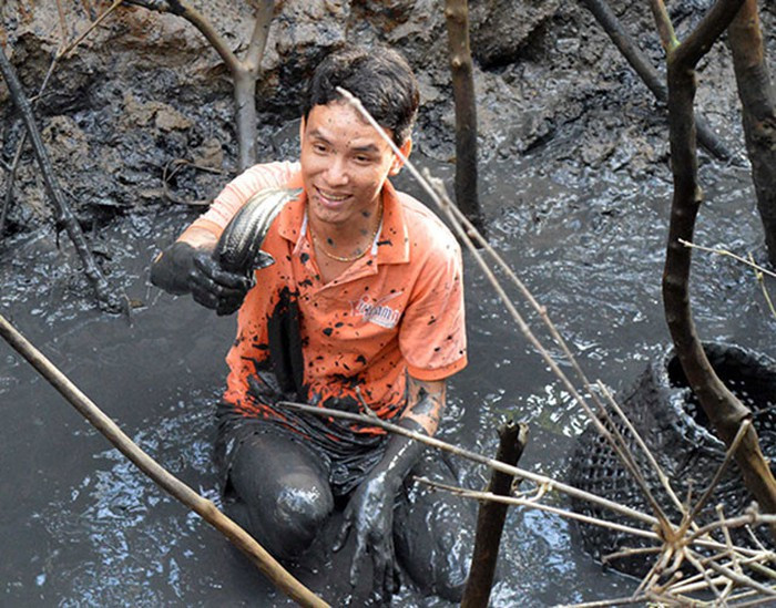 Một nhóm từ 5-6 người cần mẫn lội bùn bắt trong thời gian 3-4 tiếng mới hoàn thành một ao cá. Ảnh: Dân Việt.