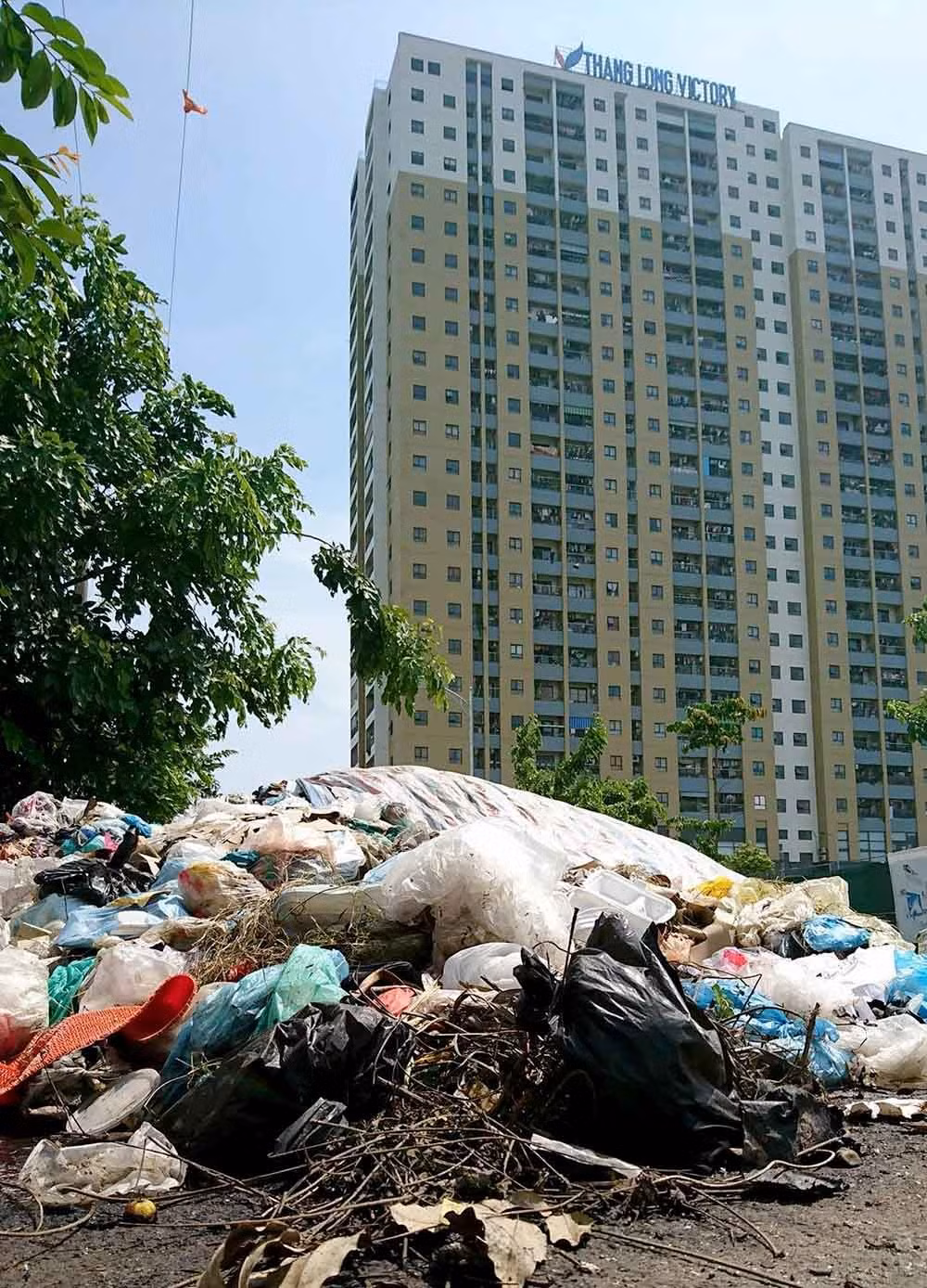 Cũng tại thời điểm tháng 8/2017, chung cư Thăng Long Victory (xã An Khánh, Hoài Đức, Hà Nội) bị chắn ngữ bởi bãi rác thải hôi thối ngay lối vào. Ảnh: Vietnamnet.