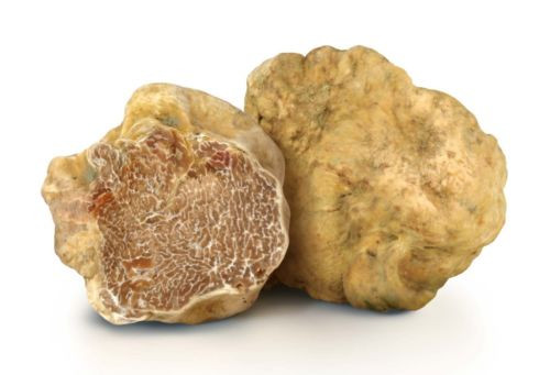 Nấm Truffle có loại màu đen (thường tìm thấy ở vùng Périgord, Pháp) và Truffle trắng (ở Piedmont, Ý). Ảnh: PicClick.