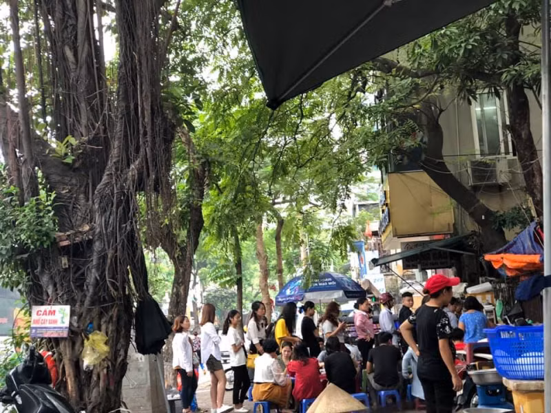 Trên phố Nguyễn Thái Học, quán bún cá Hạnh Béo luôn được liệt vào top những quán bún ngon nhất và đáng thử nhất khi đến Hà Thành.