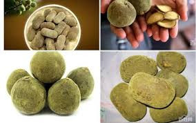 Không chỉ xấu, loại bưởi này còn có vị rất đắng nên ko thể ăn được. Nó được sử dụng như nguyên liệu thuốc đắt tiền, có công dụng tán hàn, lợi khí tiêu bệnh, trị ho, tăng cường tiêu hóa. Ảnh: Baijiahao.