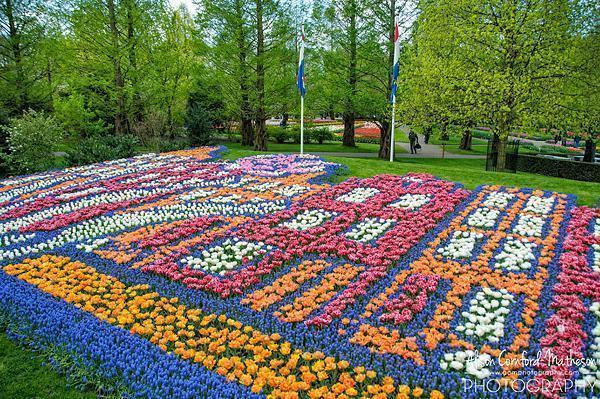 Keukenhof mở cửa 8 tuần mỗi năm và đón 800.000 du khách trong thời gian đó.