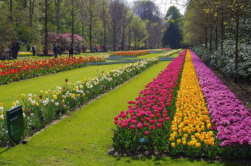 Vườn hoa Keukenhof mở cửa từ 8 giờ sáng đến 7:30 tối, với giá vé khoảng 12,50 Euro/người. Nguồn ảnh: Wiki.