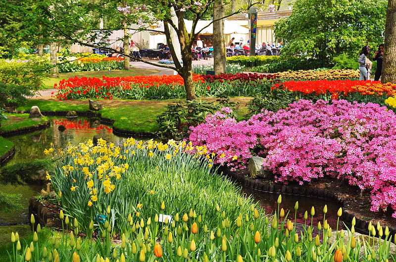 Keukenhof mở cửa cho khách du lịch bắt đầu từ tuần cuối cùng của tháng 3 đến giữa tháng 5.