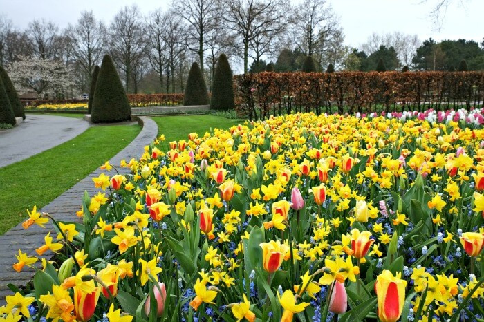 Khu vườn có khoảng 30 công nhân làm việc quanh năm.