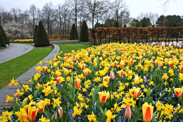 Khu vườn có khoảng 30 công nhân làm việc quanh năm.