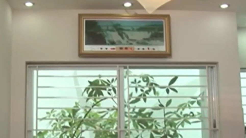 Bên ngoài cửa sổ có nhiều cây xanh, giúp điều hòa không khí.