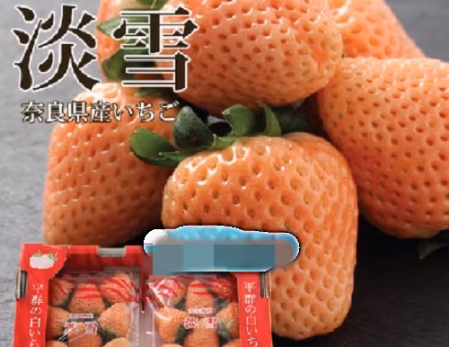 Đây là loại dâu hiếm, được trồng ở Osaka, Nhật Bản và được xếp vào danh sách những loại quả có giá đắt nhất thế giới. Ảnh: Vinfruits.