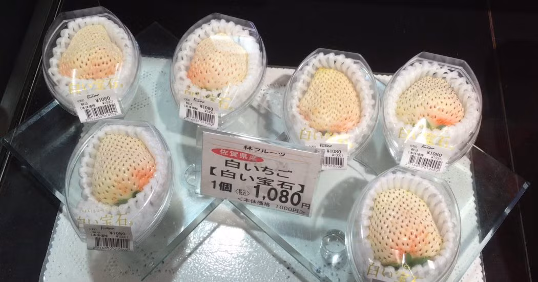 Dâu tây bạch tuyết nổi tiếng bởi hương vị thơm ngon, ngọt như vị dứa. Ảnh: Chimi.