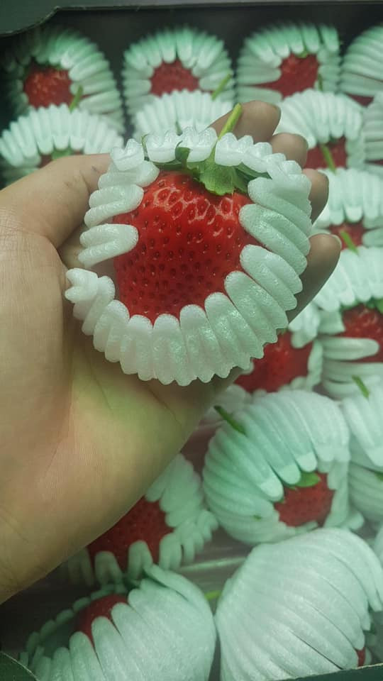 Loại dâu này có màu đỏ tươi, quả lớn, vị ngọt thanh. Ảnh: Facebook.