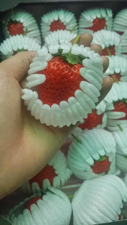 Loại dâu này có màu đỏ tươi, quả lớn, vị ngọt thanh. Ảnh: Facebook.