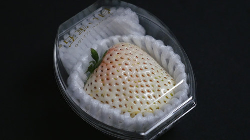  Dây tây trắng (hay còn gọi dâu tuyết, dâu bạch tuyết) là giống dâu gần như tuyệt chủng trên thế giới, được người nông dân Nhật Bản phục hồi và trồng thành công. Ảnh: Tokyo Cheapo.