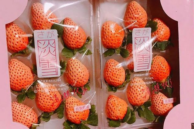 Ngoài ra, trên thị trường còn xuất hiện loại dâu tây anh đào Nhật Bản với giá bán gần 5 triệu đồng/kg. Ảnh: Printest.