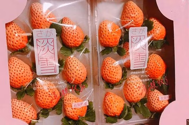 Ngoài ra, trên thị trường còn xuất hiện loại dâu tây anh đào Nhật Bản với giá bán gần 5 triệu đồng/kg. Ảnh: Printest.