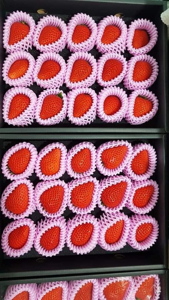 Dâu tây okimi Nhật Bản thường được dùng làm quà tặng cao cấp. Ảnh: Facebook.