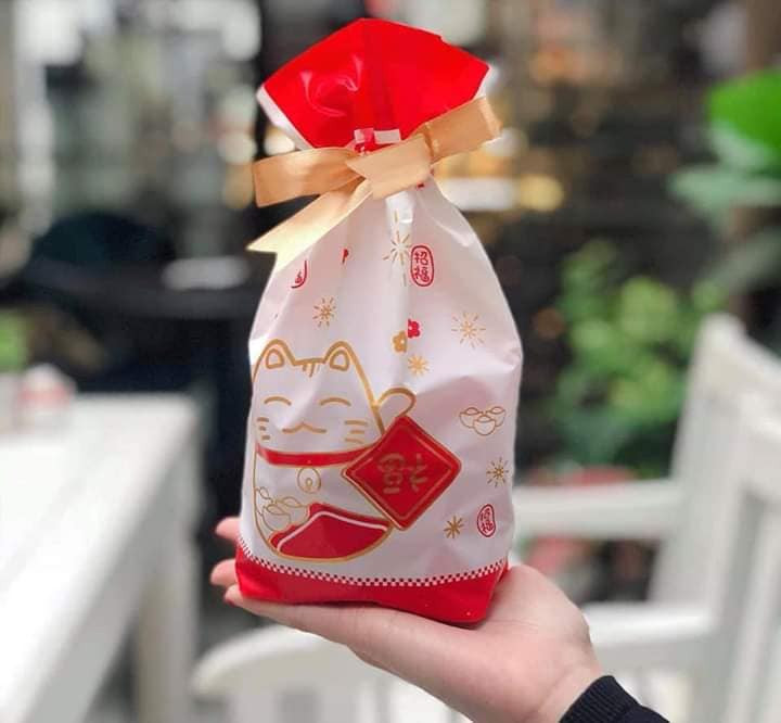 Túi đựng heo in hình heo con cực kỳ sang chảnh. Ảnh: FB Nhan Nghia Nguyen.