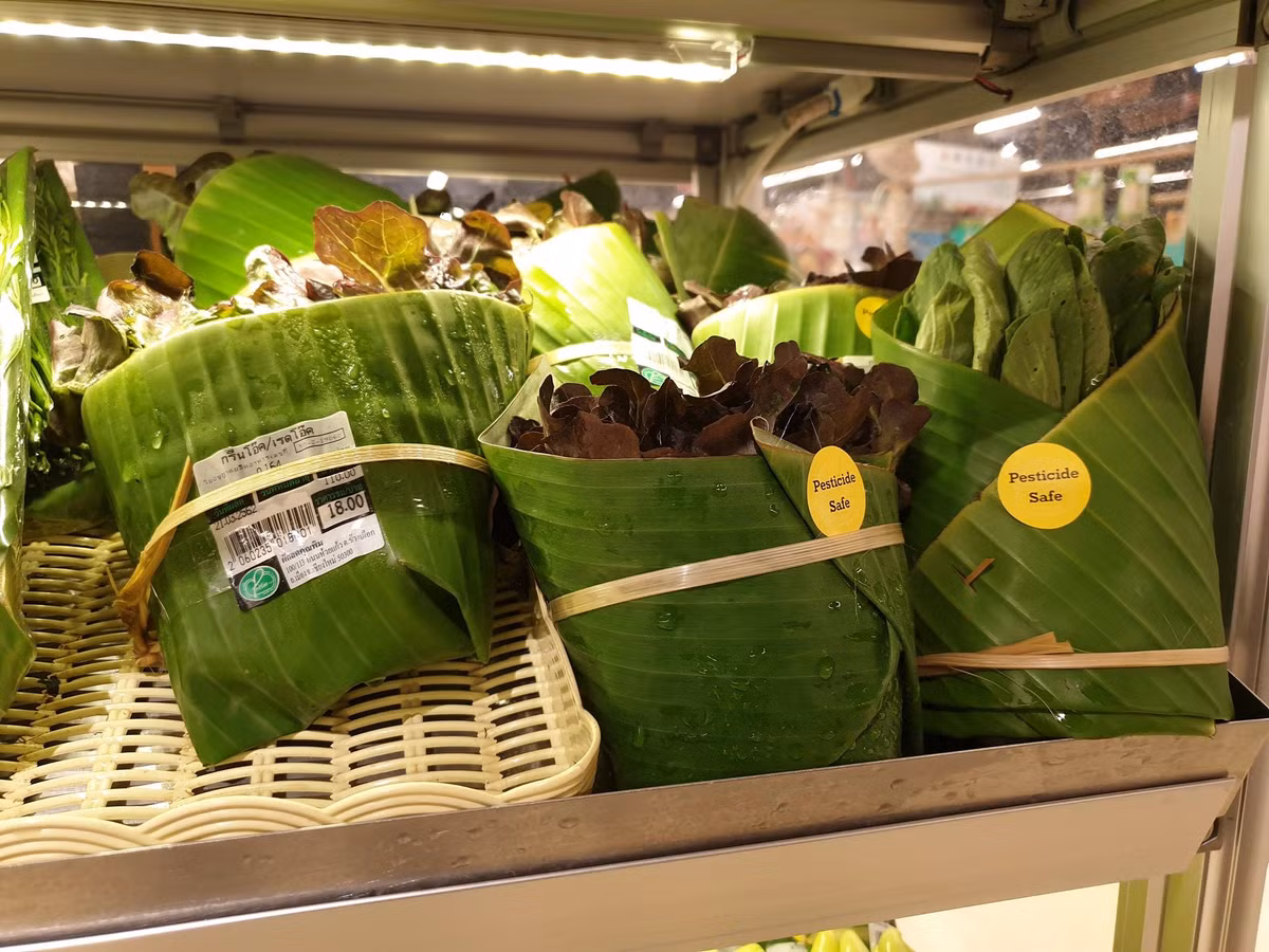 Từ lâu, túi nilon xâm chiếm tất cả các mặt hàng trong siêu thị, thậm chí sau khi thanh toán, khách hàng cũng nhận được túi nhựa để đựng đồ.