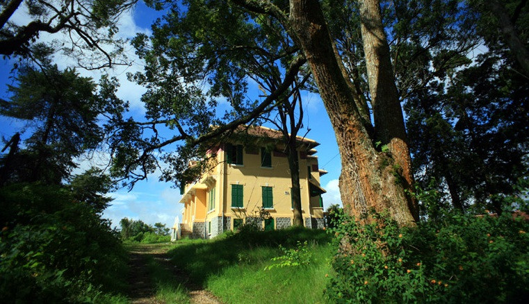 Từ Dinh tỉnh trưởng có thể nhìn ra bốn hướng, bao quát toàn bộ TP Đà Lạt. Ảnh: Quốc Lê.