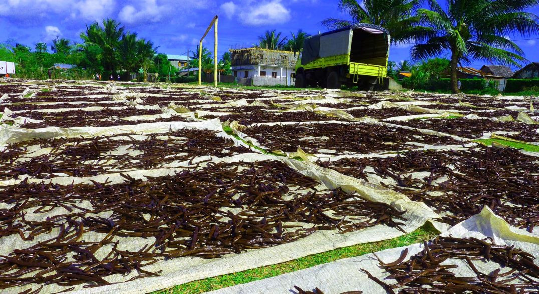 Một nguyên nhân khác khiến giá vani tăng đột biến là thị hiếu khách hàng. Con người ngày càng có xu hướng lựa chọn các loại thực phẩm từ thiên nhiên, dẫn đến việc các công ty, cửa hàng cũng phải thay thế dần hương liệu tổng hợp bằng vani. Nguồn ảnh: Internet.
