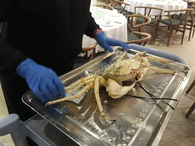 Theo một số cửa hàng hải sản nhập khẩu, cua pha lê được đánh bắt ở bờ Tây Australia trên vùng biển Ấn Độ Dương nơi có độ sâu 300 - 1.200m, nhiệt độ 5-8 độ C. Ảnh: Dân Việt.