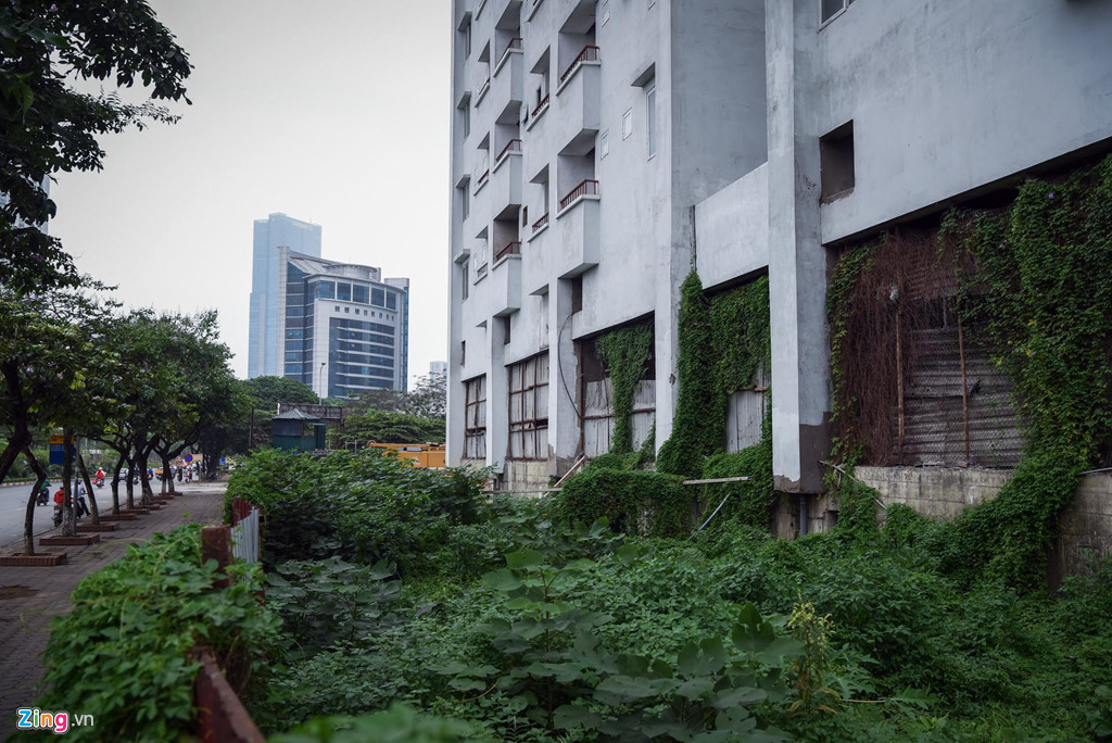 Bên trong dự án cỏ dại mọc um tùm, cây cao quá đầu người, che kín lối đi lại.