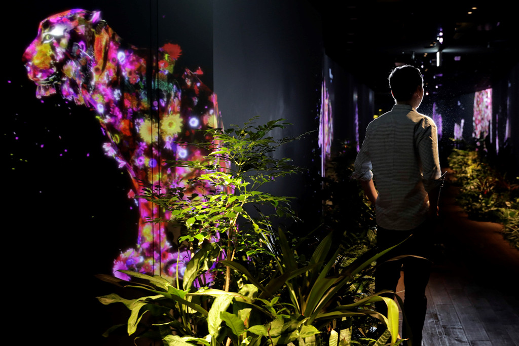 Theo tìm hiểu của PV Kiến Thức, DMM là công ty thương mại điện tử và giải trí trực tuyến của Nhật Bản. Chủ tịch - CEO là ông Keishi Kameyama.