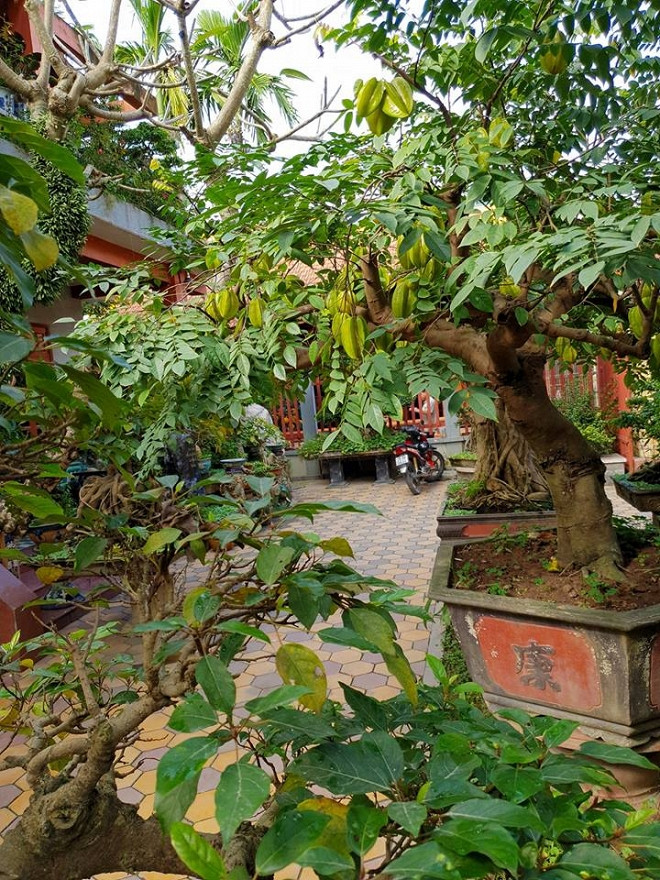 Ngoài ra nhà Văn Anh còn có hồ cá koi. Ở bên trong nhà của gia đình nam diễn viên cũng có rất nhiều món đồ cổ quý giá.