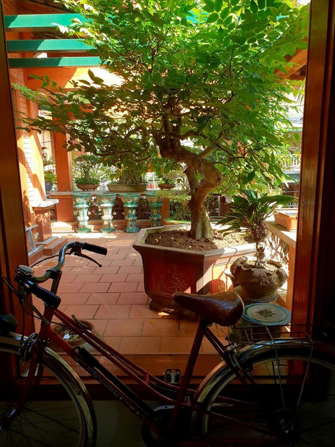 Đồ cổ được sưu tập rất nhiều trong nhà gia đình Văn Anh.