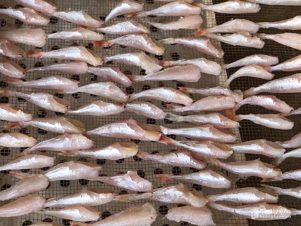 Ta hoa nhung dac san bi lam gia tren mam com nguoi Viet-Hinh-2