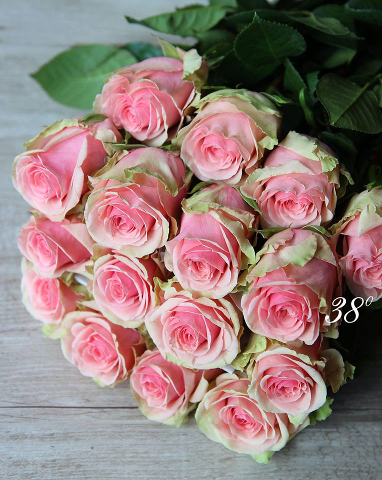 Top qua Valentine dat do nhat 2019