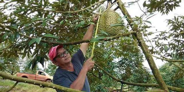 Tuy nhiên, chủ sở hữu vẫn chưa đồng ý bán. Ảnh: Facebook.