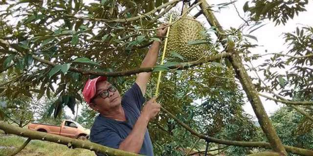 Tuy nhiên, chủ sở hữu vẫn chưa đồng ý bán. Ảnh: Facebook.