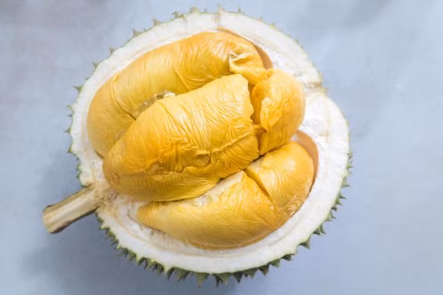 Đây là giống sầu riêng J-Queen, cứ 3 năm mới ra quả một lần. Ảnh: SCMP.