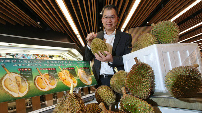 Một quả sầu riêng thường tách ra được 5 khía, mỗi khía ở Trung Quốc có giá khoảng 100 nhân dân tệ, tương đương 15 USD (350.000 đồng). Ảnh: VTV.