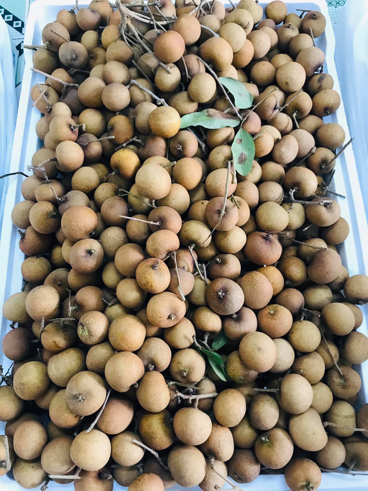 Chia sẻ trên Vietnamnet, chị Nguyễn Thị Thanh Huyền (Đống Đa, Hà Nội) tiết lộ, cửa hàng của chị liên tục cháy hàng nhãn bắp cải, thậm chí hàng về còn không đủ để trả khách đã đặt trước đó. Ảnh: Vietnamnet.