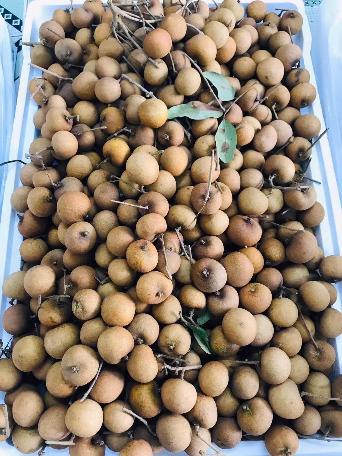 Chia sẻ trên Vietnamnet, chị Nguyễn Thị Thanh Huyền (Đống Đa, Hà Nội) tiết lộ, cửa hàng của chị liên tục cháy hàng nhãn bắp cải, thậm chí hàng về còn không đủ để trả khách đã đặt trước đó. Ảnh: Vietnamnet.