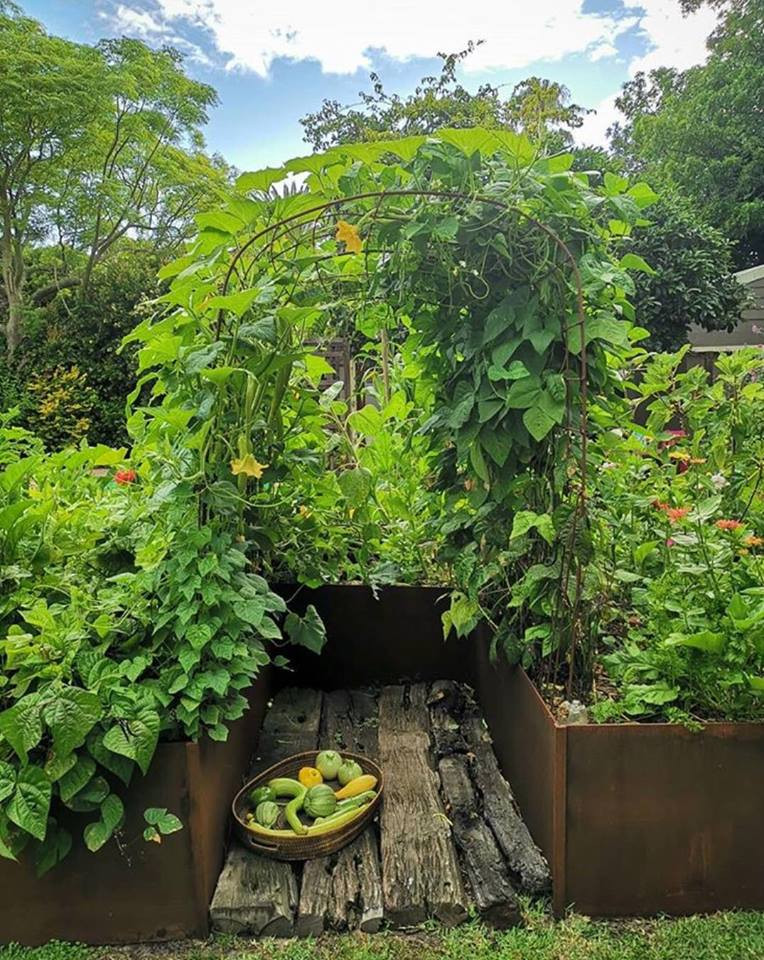 Là người yêu thích làm vườn và mong muốn cung cấp đồ ăn sạch cho gia đình, Jill đã tự tay trồng một khu vườn đủ các loại rau quả.