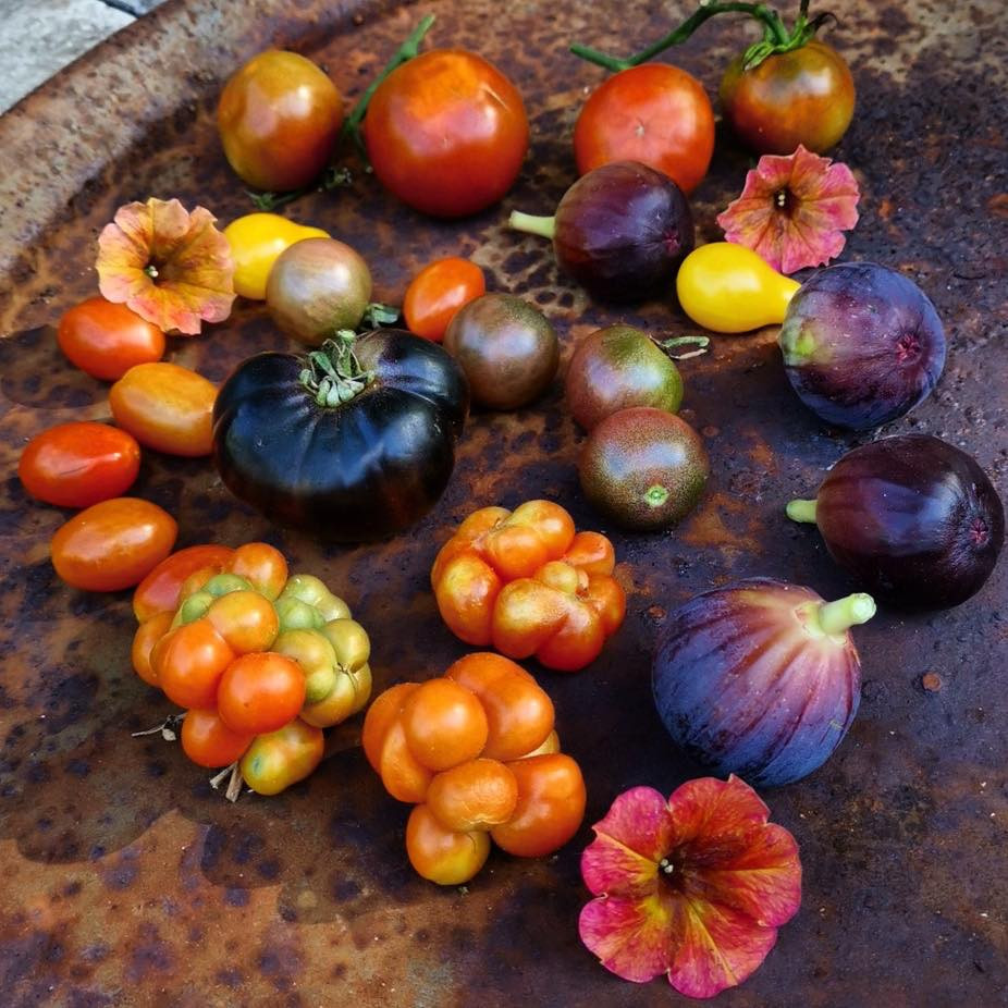 Jill đặc biệt thích trồng các loại rau củ mà ít khi cô thấy ở siêu thị.