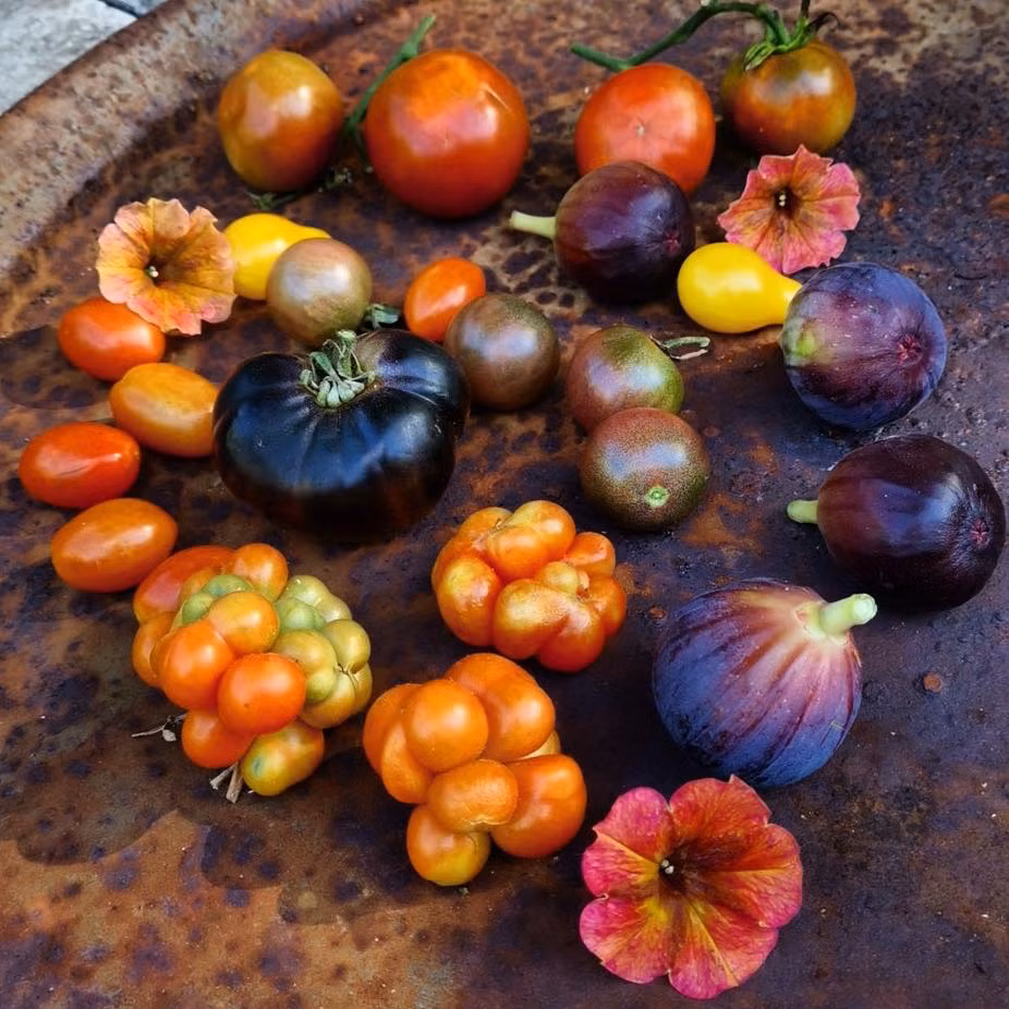 Jill đặc biệt thích trồng các loại rau củ mà ít khi cô thấy ở siêu thị.