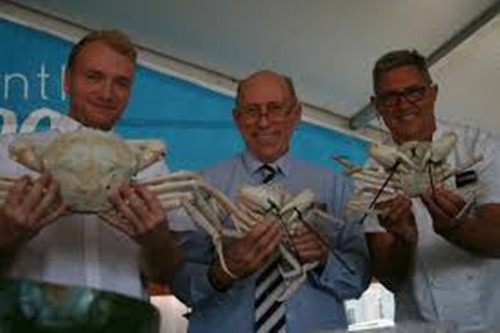 Cũng vì thế mà hàng nhập về thường chỉ đủ để trả cho các đơn đã đặt trước đó, không có hàng dư. Ảnh: Wafic.