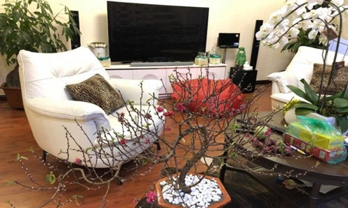 Không gian ấm cúng trong căn hộ của gia đình Á hậu Huyền My. Ảnh: Nld.