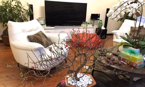 Không gian ấm cúng trong căn hộ của gia đình Á hậu Huyền My. Ảnh: Nld.